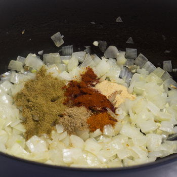 onions with spices not mixed in