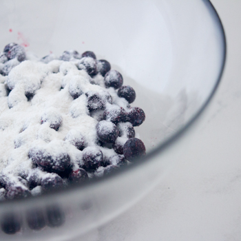 Blueberry Handpie How To (2 of 8)