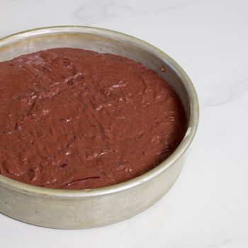 Chocolate Beet Cake How TO (9 of 9)