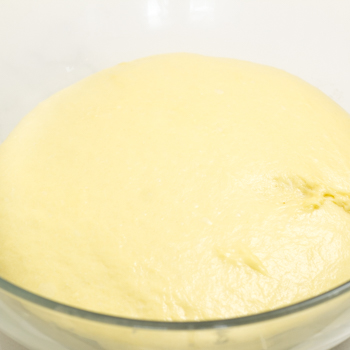 dough for babkas rising