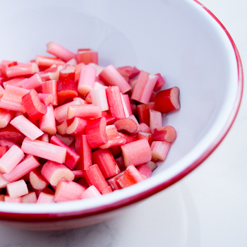 Rhubarb Pie How TO-1