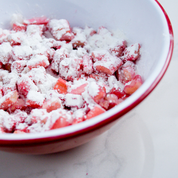 Rhubarb Pie How TO-6