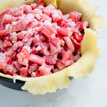 Rhubarb Pie How TO-7