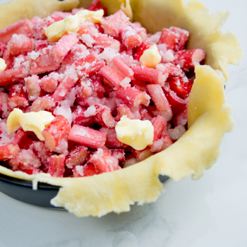 Rhubarb Pie How TO-8
