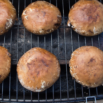 Stuffed Mushroom Caps - how to (6 of 7)