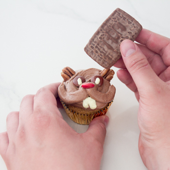 beaver cupcake how to (20 of 24)