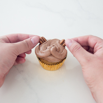 beaver cupcake how to (9 of 24)