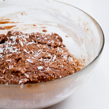 chocolate coconut cookies hwo to (3 of 5)