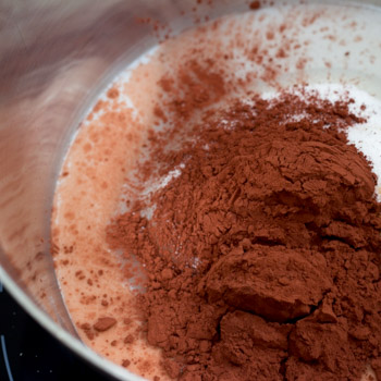 chocolate coconut macaroons how to-2