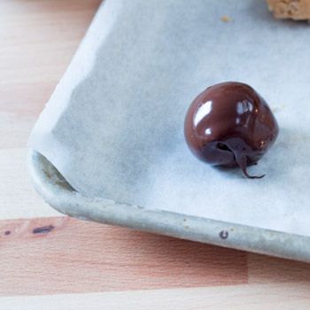 peanutbutter balls how to-10