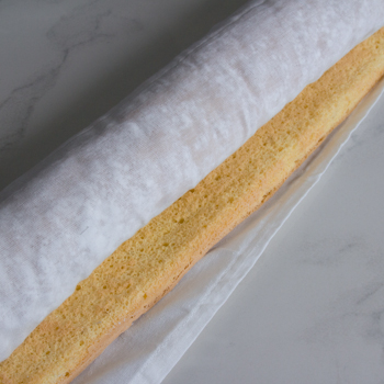 yule log how to (6 of 11)